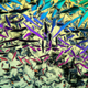 Illustration for article titled Liquid crystals can detect bacterial infections